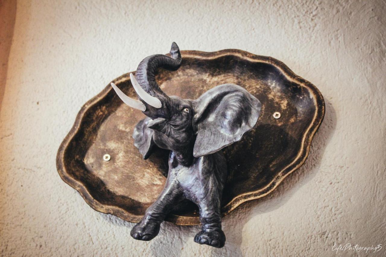 African Elephant'S Den Klerksdorp Exterior photo