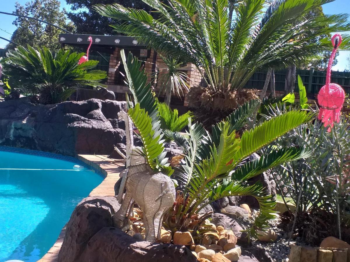 African Elephant'S Den Klerksdorp Exterior photo