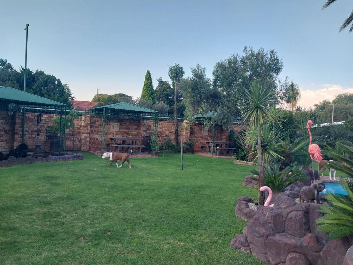 African Elephant'S Den Klerksdorp Exterior photo